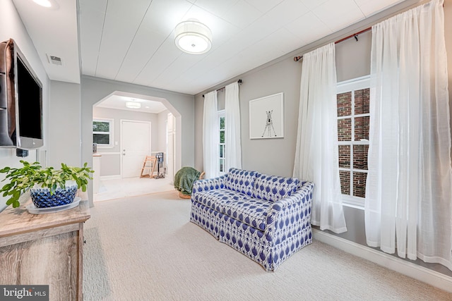 1615 Webster St NE, Washington, DC 20017 - living area featuring arched walkways and carpet floors