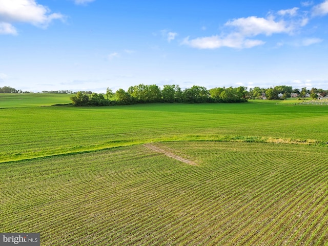 215 W Main St, Newmanstown, PA 17073 - view of green lawn