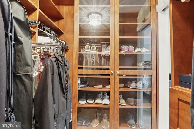 1367 Cedar Ave, Annapolis, MD 21403 - view of walk in closet