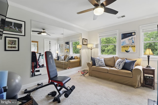1367 Cedar Ave, Annapolis, MD 21403 - exercise area featuring a ceiling fan, healthy amount of natural light, carpet flooring, and ornamental molding