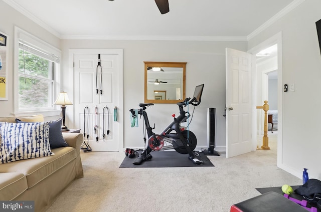 1367 Cedar Ave, Annapolis, MD 21403 - exercise area with ceiling fan, crown molding, carpet flooring, and baseboards