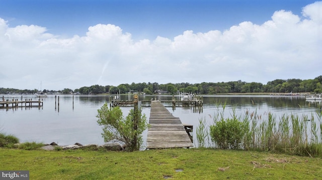 1367 Cedar Ave, Annapolis, MD 21403 - dock area with a water view