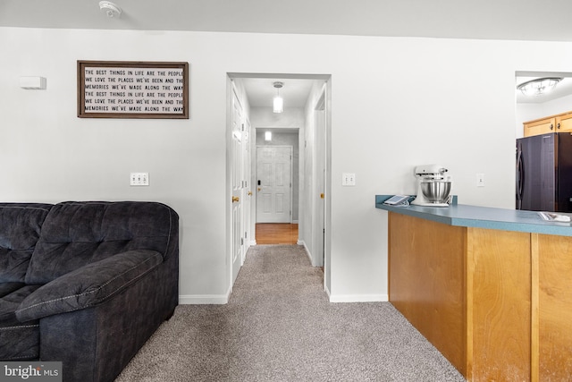 7 Pin Oak Dr, Dover, DE 19904 - hall featuring carpet and baseboards
