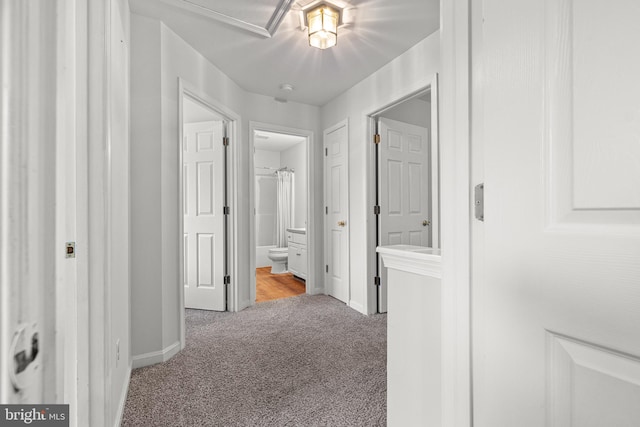 7 Pin Oak Dr, Dover, DE 19904 - corridor with carpet and baseboards