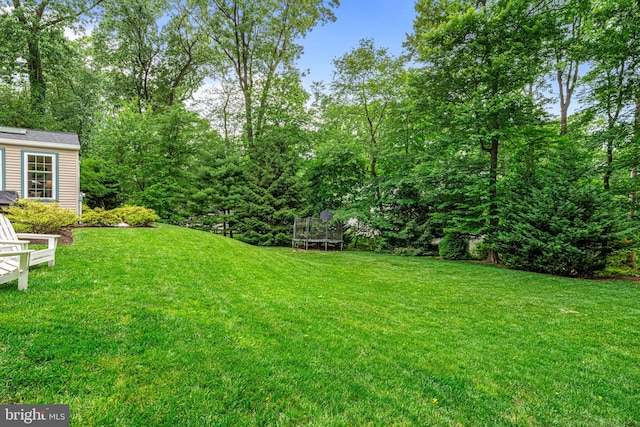 363 Colket Ln, Wayne, PA 19087 - view of green lawn featuring a trampoline and an outdoor structure