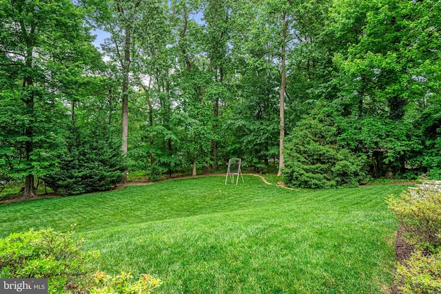 363 Colket Ln, Wayne, PA 19087 - view of green lawn