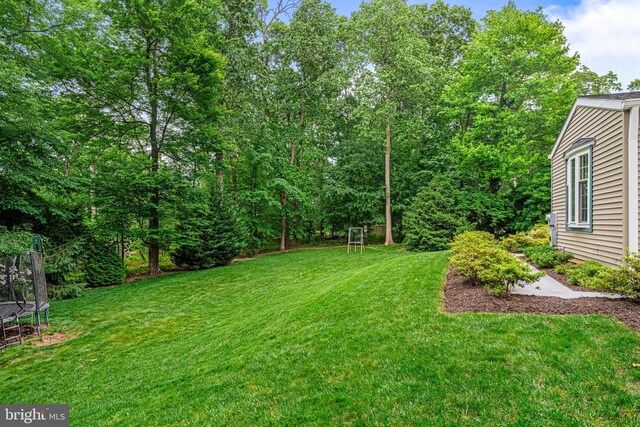 363 Colket Ln, Wayne, PA 19087 - view of green lawn featuring a trampoline
