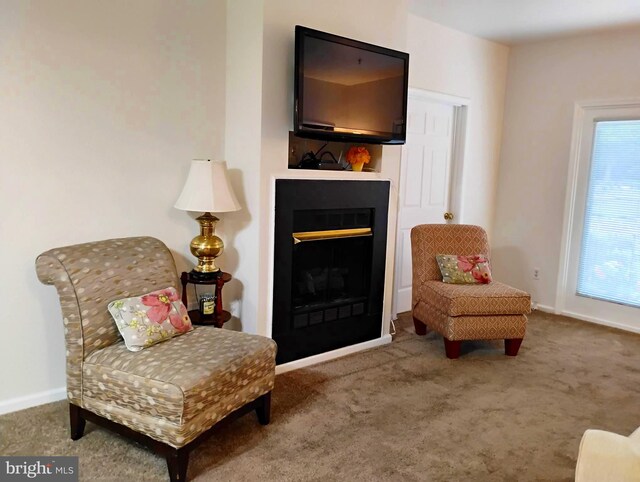 6527 Grange Ln Unit 202, Alexandria, VA 22315 - living area featuring carpet floors, a glass covered fireplace, and baseboards