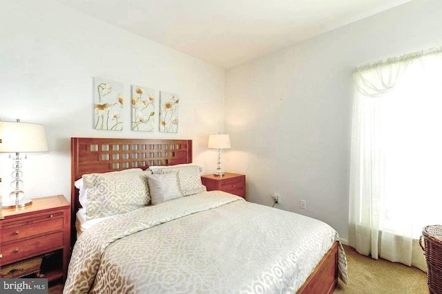 6527 Grange Ln Unit 202, Alexandria, VA 22315 - bedroom featuring carpet flooring