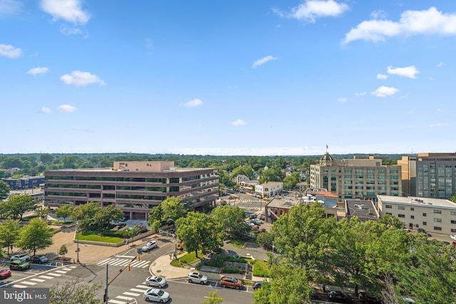 2400 Clarendon Blvd Unit 1015, Arlington, VA 22201 - view of urban area