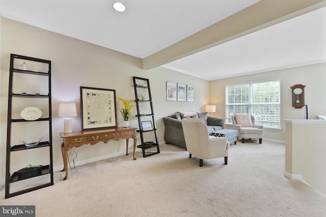 35871 Devon Park Sq, Round Hill, VA 20141 - living area with carpet flooring and baseboards