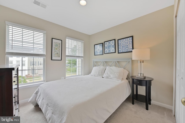 35871 Devon Park Sq, Round Hill, VA 20141 - bedroom with carpet and baseboards