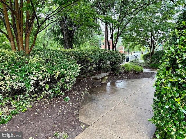 4212 Benning Rd NE Unit 6, Washington, DC 20019 - view of patio