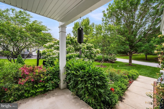 41 Musket Ct, West Chester, PA 19382 - view of patio