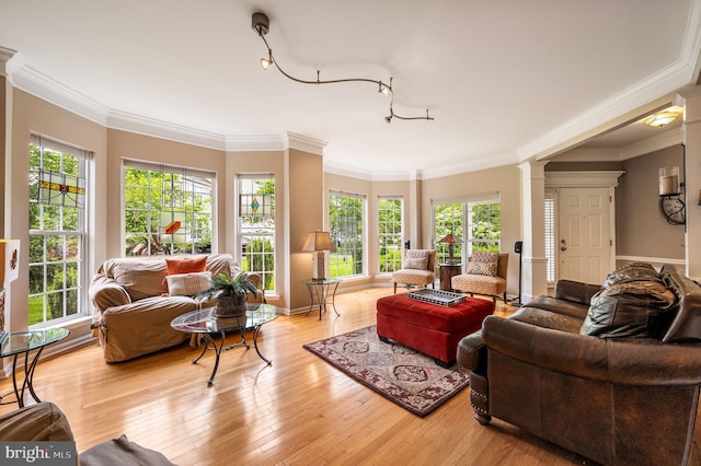 41 Musket Ct, West Chester, PA 19382 - living area featuring decorative columns, hardwood / wood-style flooring, crown molding, and baseboards