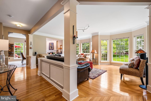 41 Musket Ct, West Chester, PA 19382 - living room featuring ornate columns, light wood-type flooring, ornamental molding, and baseboards