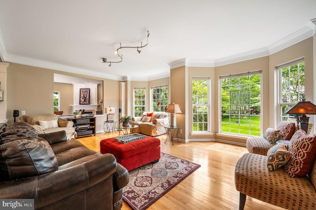 41 Musket Ct, West Chester, PA 19382 - living room featuring crown molding, light wood-style flooring, and baseboards