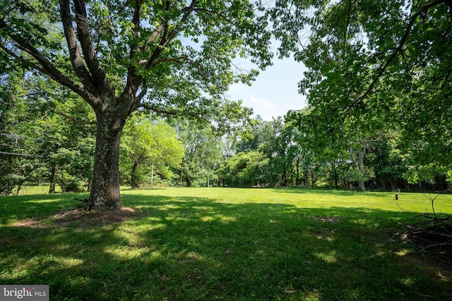 5280 Ten Oaks Rd, Clarksville, MD 21029 - view of grassy yard