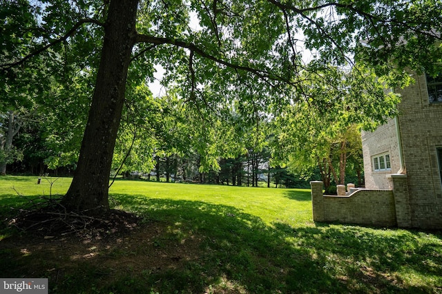 5280 Ten Oaks Rd, Clarksville, MD 21029 - view of grassy yard