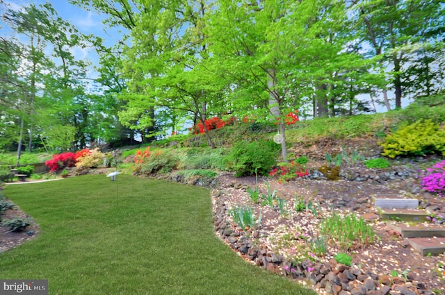 12110 Wilmont Turn, Bowie, MD 20715 - view of green lawn