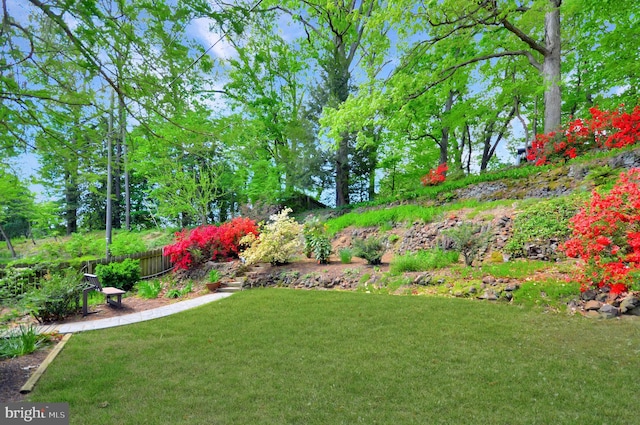 12110 Wilmont Turn, Bowie, MD 20715 - view of yard