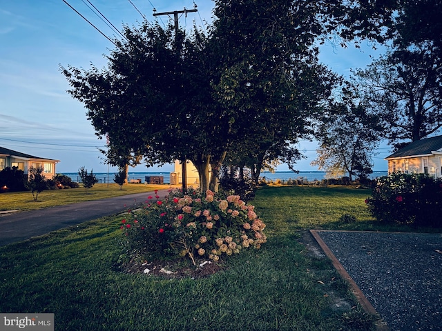 16 9th St, Colonial Beach, VA 22443 - view of grassy yard