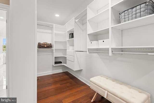 2006 Par Dr, Doylestown, PA 18901 - spacious closet with wood finished floors
