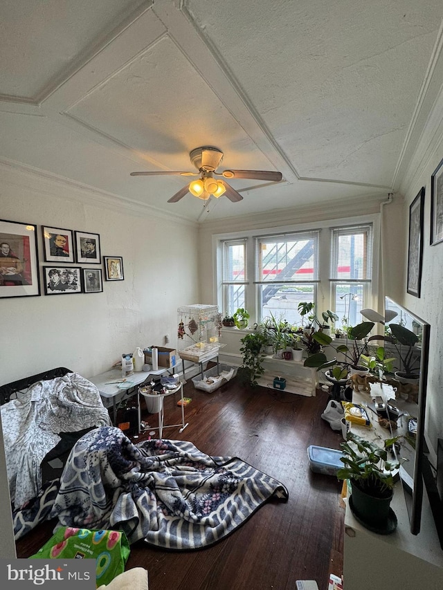 4635 Sansom St, Philadelphia, PA 19139 - living room with ornamental molding, wood finished floors, and ceiling fan