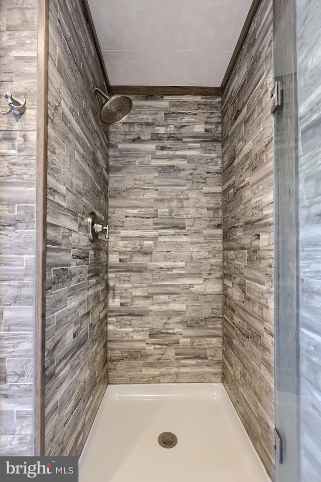 114 Walnut St, Columbia, PA 17512 - bathroom with a shower stall