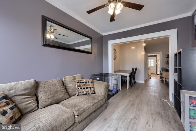 114 Walnut St, Columbia, PA 17512 - living room featuring a ceiling fan, light wood-type flooring, baseboards, and crown molding