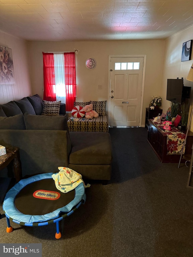 214 S 11th St, Reading, PA 19602 - view of carpeted living area