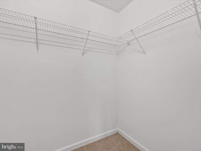 11 Duory Cir, Milton, DE 19968 - spacious closet featuring carpet