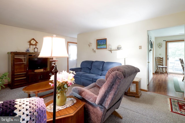 503 N Rachels Way, Aaronsburg, PA 16820 - living area featuring carpet floors
