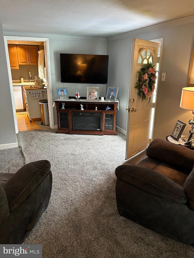 117 W Waverly St S, Browns Mills, NJ 8015 - living room with ornamental molding, light colored carpet, and baseboards