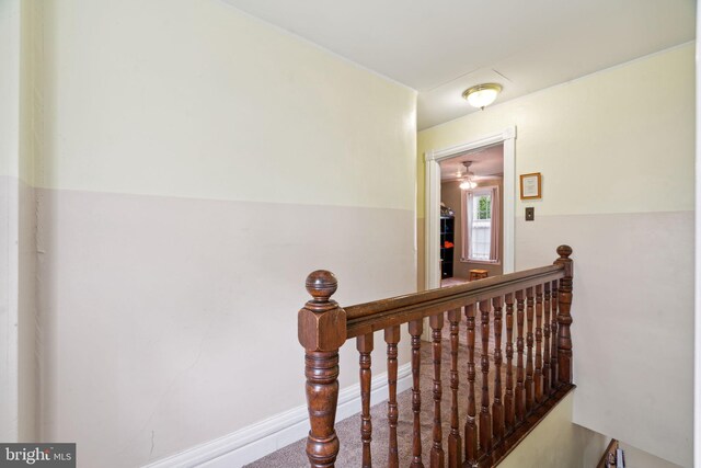 2026 Murray St, Philadelphia, PA 19115