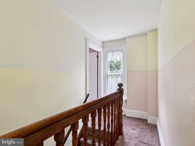 2026 Murray St, Philadelphia, PA 19115