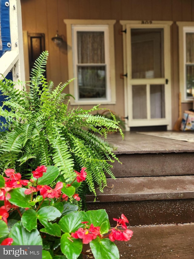 302 6th St, Mount Gretna, PA 17064 - doorway to property with a porch