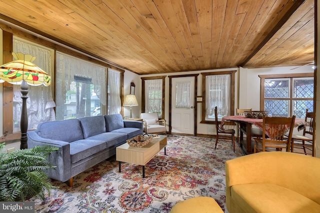 302 6th St, Mount Gretna, PA 17064 - living room featuring wooden ceiling