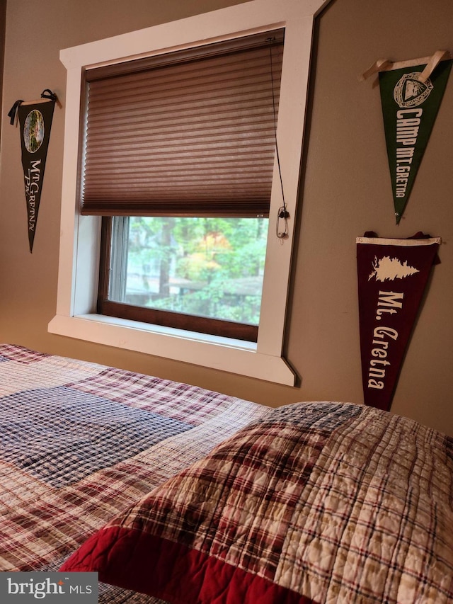 302 6th St, Mount Gretna, PA 17064 - view of bedroom