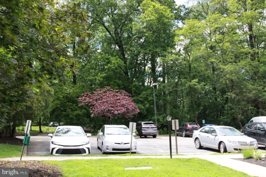 207 Walnut Hill Rd Unit B17, West Chester, PA 19382 - view of uncovered parking lot