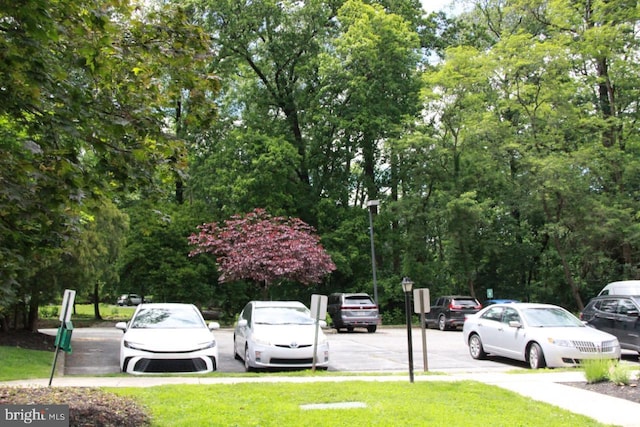 207 Walnut Hill Rd Unit B17, West Chester, PA 19382 - view of uncovered parking lot
