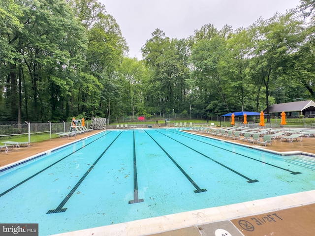 2624 Black Fir Ct, Reston, VA 20191 - community pool featuring view of scattered trees
