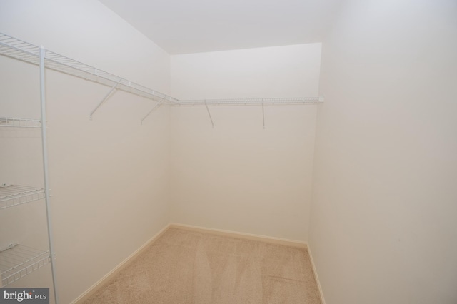 1103 S Schumaker Dr Unit C-201, Salisbury, MD 21804 - spacious closet with light carpet