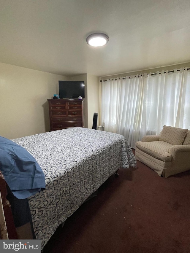 1116 N 19th St, Camden, NJ 08105 - view of carpeted bedroom