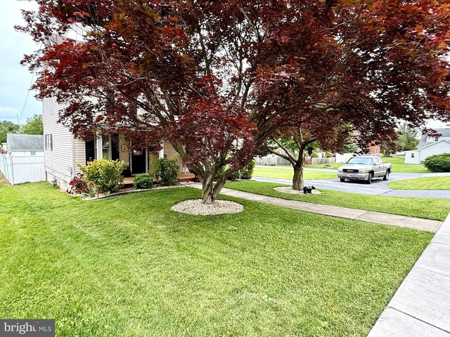 239 S Allison St, Greencastle, PA 17225 - view of green lawn