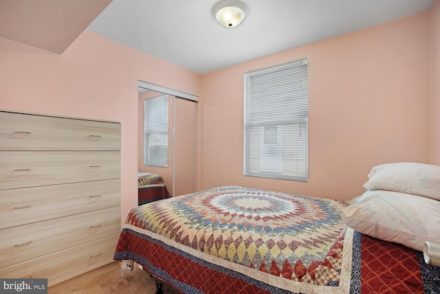 13 Lake Superior, Little Egg Harbor Twp, NJ 08087 - bedroom featuring a closet and carpet