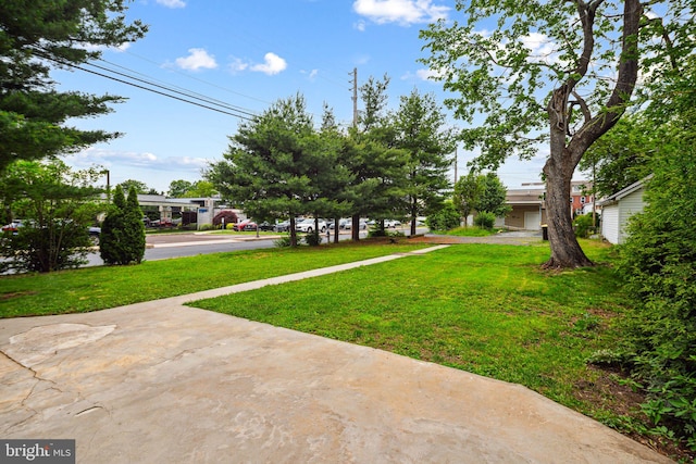 20 N Richardson Ave, Lansdale, PA 19446 - view of green lawn