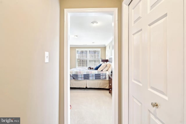 7951 Kelly Ann Ct, Fairfax Station, VA 22039 - hallway featuring carpet floors and crown molding