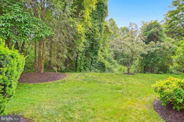 18707 Sparkling Water Dr Unit 3, Germantown, MD 20874 - view of green lawn featuring a wooded view