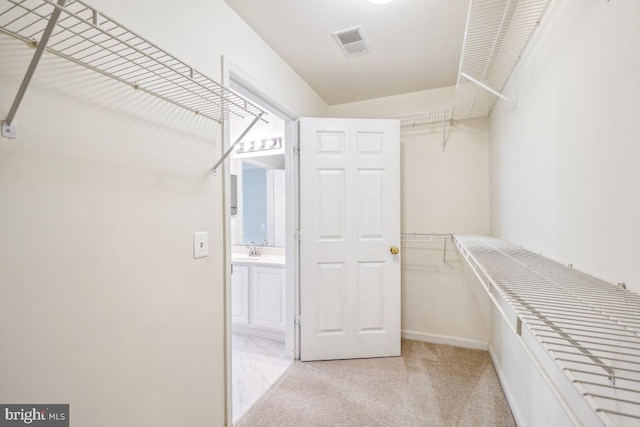 18707 Sparkling Water Dr Unit 3, Germantown, MD 20874 - walk in closet with light carpet and a sink